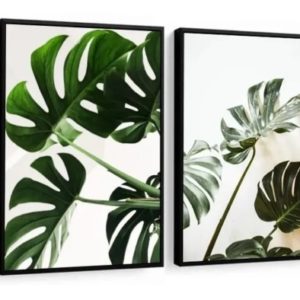 Quadro Decorativo Folhagem Costela De Adão Verde 48×68 Peças