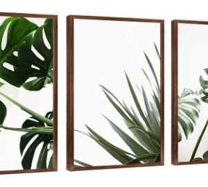 Quadros Decorativos Folhagem Costela De Adão Moldura Tabaco