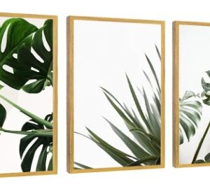 Quadros Decorativos Folhagem Costela De Adão Moldura Madeira